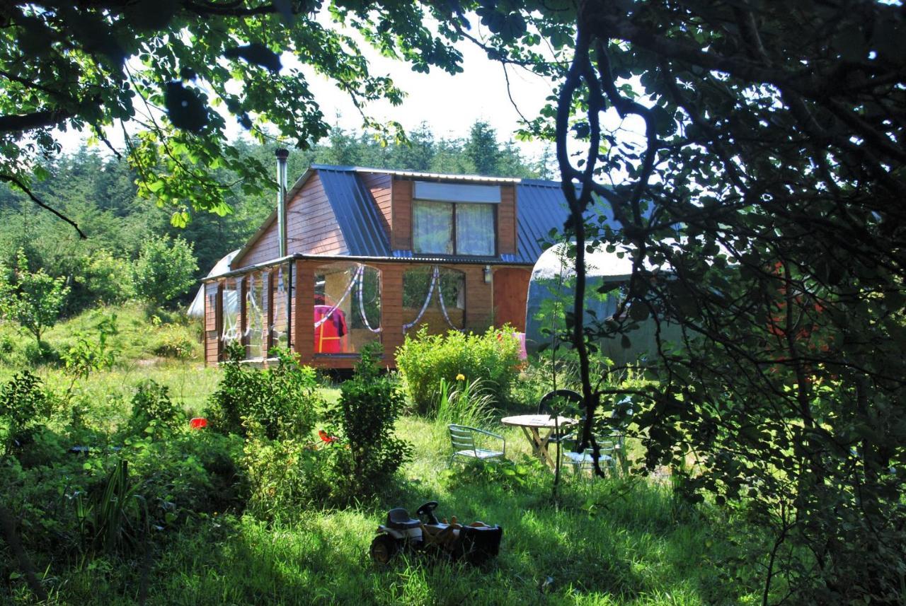 Meadowsweet Forest Lodge Fintown エクステリア 写真