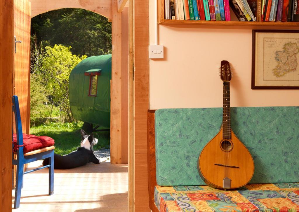 Meadowsweet Forest Lodge Fintown エクステリア 写真
